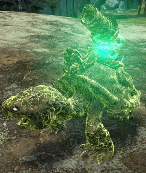 File:Juvenile Siege Turtle (unleashed).jpg