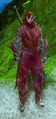 Male Nightmare Disguise appearance.