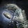 Stone Dwarf Thumb.png