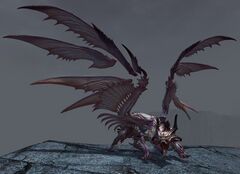 Tufted Skywing.jpg