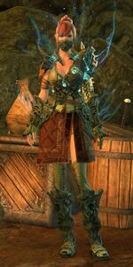 Vigil Crusader (Leystone armor human).jpg