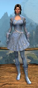 Appearance on light armor.