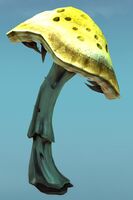 Crooked Thorny Mushroom.jpg