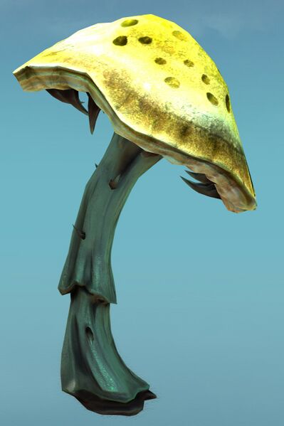 File:Crooked Thorny Mushroom.jpg
