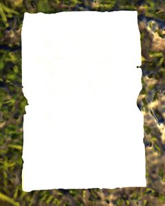 Detailed Note.jpg
