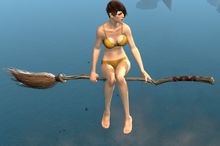 Enchanted Broom.jpg