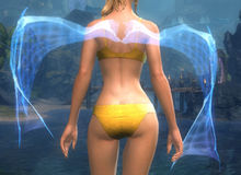 Holographic Dragon Wing Cover.jpg