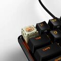HyperX Roller Beetle.jpg