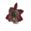 Fanged Iboga