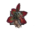 Juvenile Fanged Iboga.png