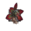 Juvenile Fanged Iboga.png