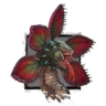 Juvenile Fanged Iboga.png
