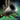 Kurzick Warhorn.png