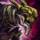Mini Awakened Abomination.png