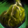 Mordrem Teragriff Bladder.png