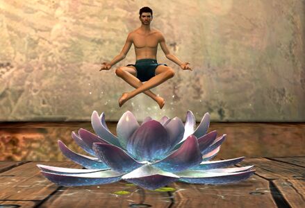 Mystic Lotus Chair human male.jpg