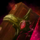 Quality Book Cover.png