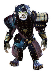 Ascalonian Sentry armor charr female front.jpg