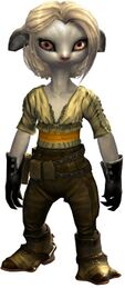 Country Lace Clothing Outfit