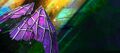 Gem Store banner