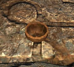 Curious Bowl.jpg