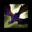 Dash (phoenix).png