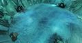 Thumbnail for version as of 04:01, 30 January 2020
