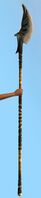 Ebon Vanguard Harpoon.jpg