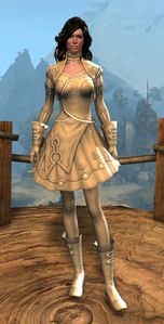 Appearance on light armor.