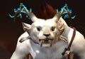 Exclusive horn - charr female 1.jpg