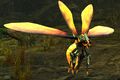 Firefly.jpg