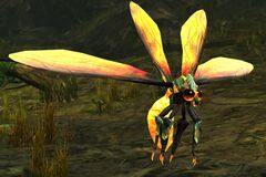 Firefly.jpg