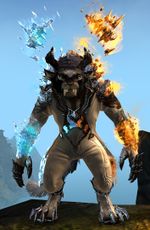 Frostfire Outfit