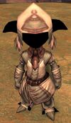 Light armor professions of asura