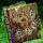 Olmakhan Songbook.png