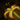 Pressed Friendship Flower.png