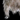 Salvageable Pelt.png
