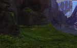 Skyscale Scales 2.jpg