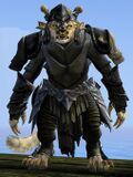 Torruh Sweptweave.jpg