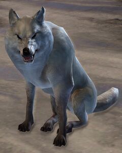 Alpine Wolf (sitting).jpg