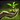 Biography Act With Wisdom.png