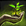 Biography Act With Wisdom.png