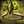 Biography Earth.png
