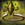 Biography Earth.png