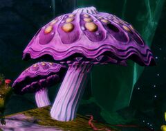 Bouncing Mushroom (Silent Surf).jpg