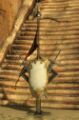 Thumbnail for version as of 13:27, 29 November 2016