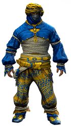 Corsair armor (light) norn male front.jpg