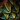 Gift of Scales.png