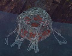 Karka Eggs.jpg