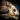 Lucky Hylek Fishbone.png